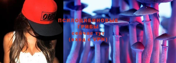 СК Беломорск