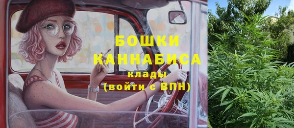 2c-b Белокуриха