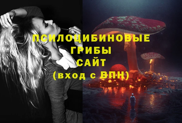 2c-b Белокуриха