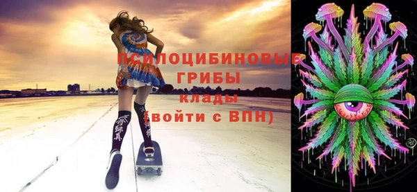 2c-b Белокуриха
