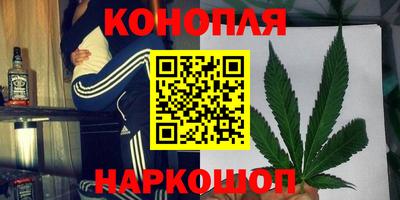 сатива Братск