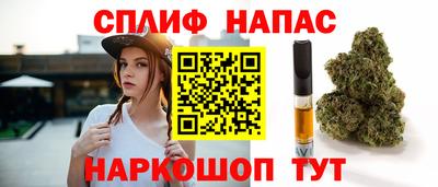 сатива Братск