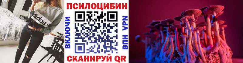 Галлюциногенные грибы Cubensis  купить   Видное 